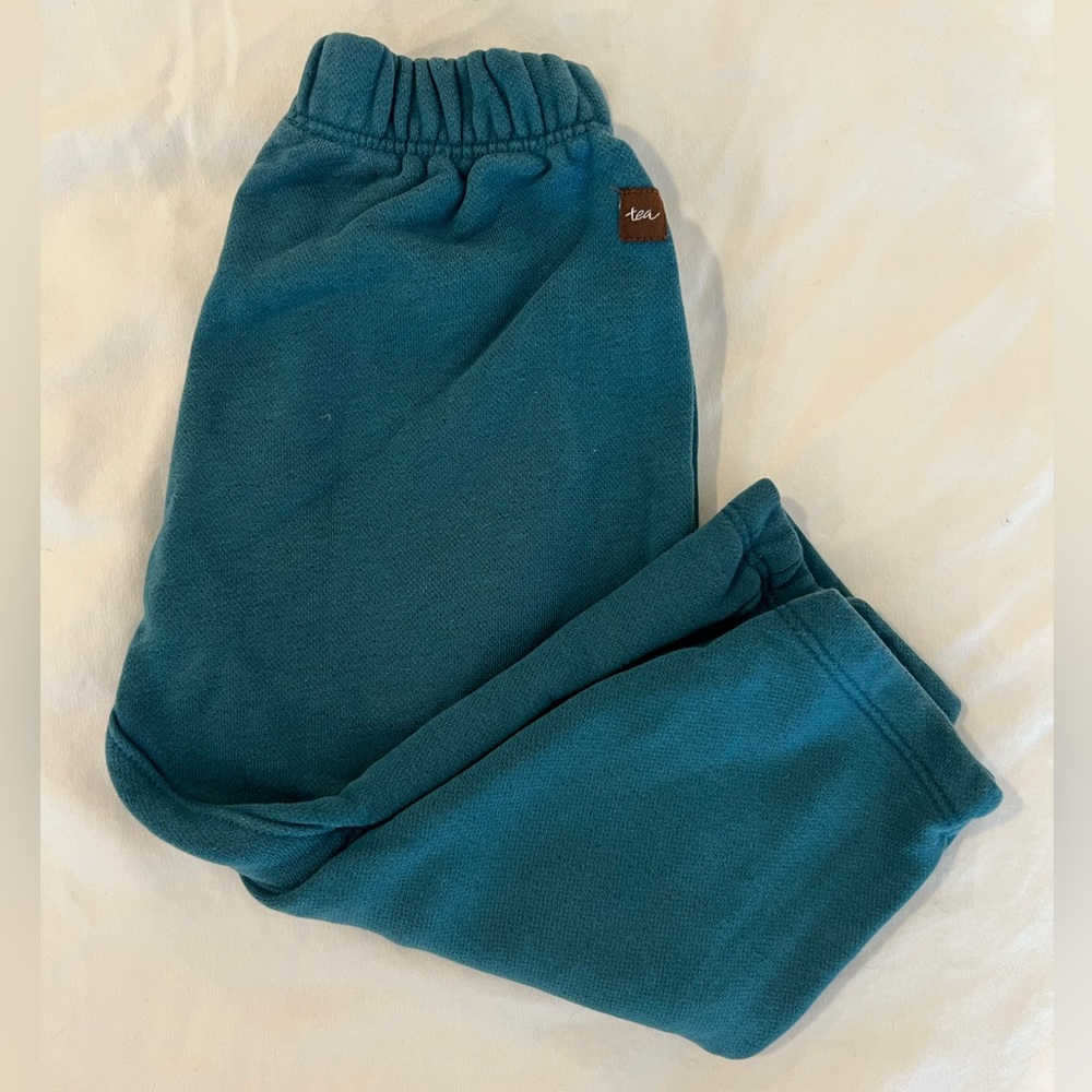 Tea turquoise 2T thick well made pants